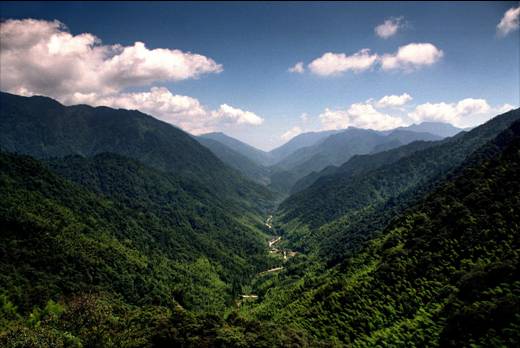 CPPCC member Wang Xuan：Reducing damage to the nature reserve