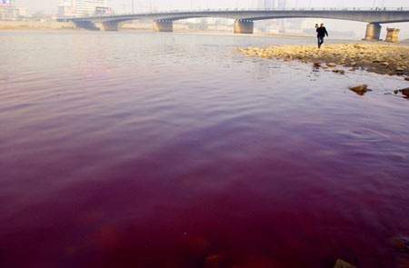 Lanzhou petrochemical will repair the surrounding environment